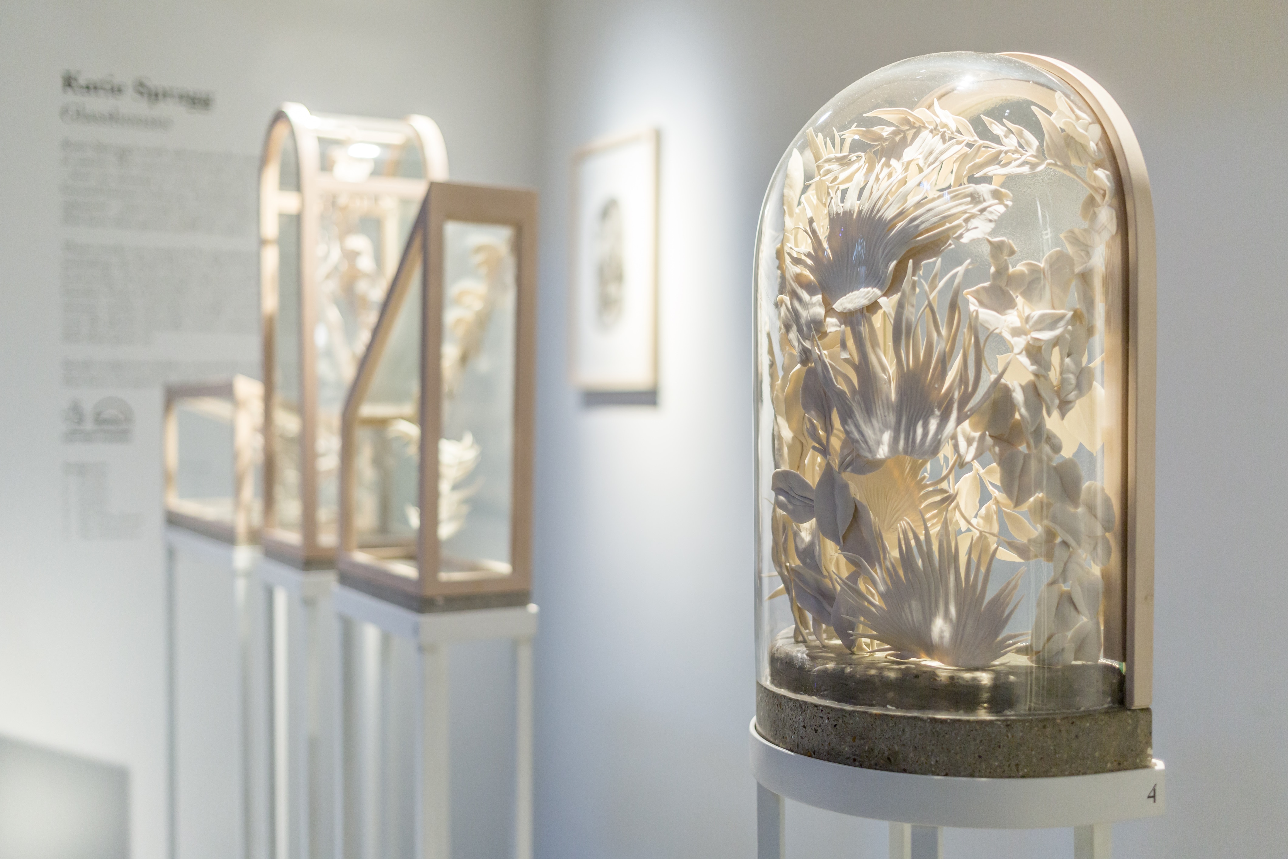 Katie Spragg Glasshouses Garden Museum