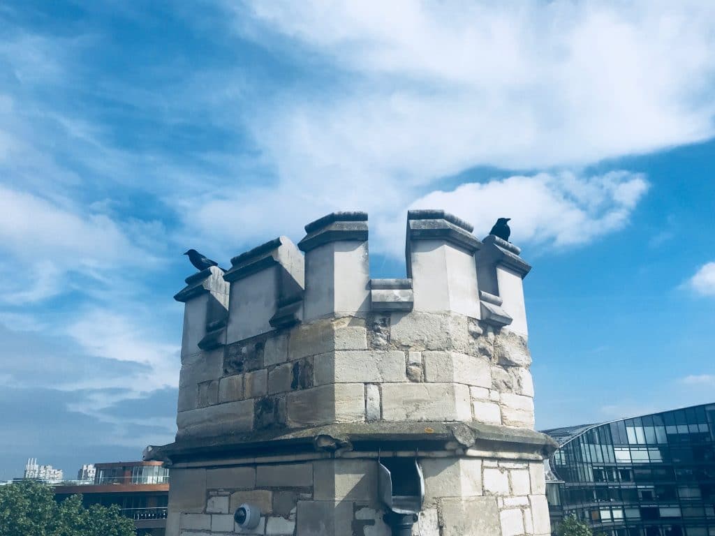 Crows up on the tower