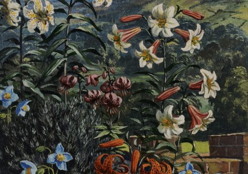 Flowers against a backdrop of hills, from Garden Flowers, illustrated by John Leigh-Pemberton, 1960 © Ladybird Books Ltd 1960