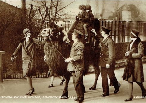 Riding on a camel postcard. 1920s Courtesy of The Hearsum Collection