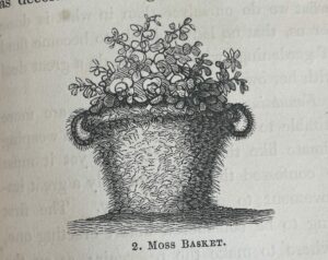 Scan from the book showing an old basket filled with flowers and foliage with all its interstices stuffed with moss. Captioned 'Moss Basket'
