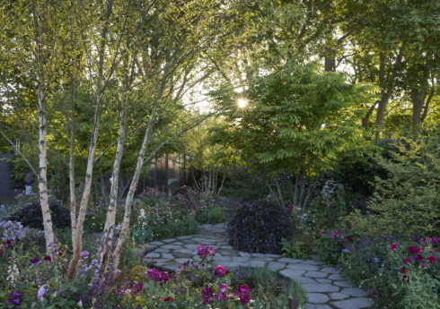 The Glasshouse Garden by Jo Thompson, PGB 2025 © Britt Willoughby