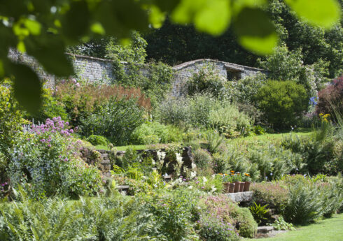 The garden in August at Acorn Bank, Cumbria.